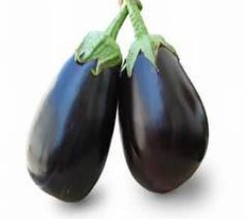 Bottle shaped Brinjal 500gms