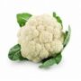 Fresh Cauliflower 1 pcs