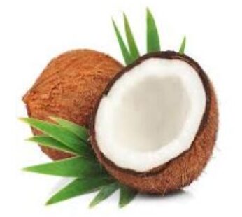 coconut 1pc Large