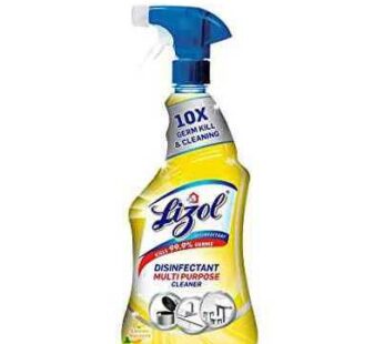 Lizol Disinfectant Multi Purpose Cleaner Lemon Squeeze 450ml