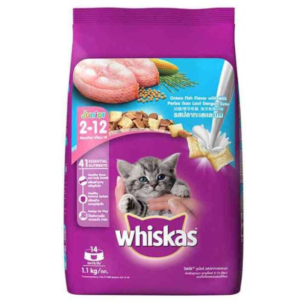 Whiskas Junior 2  12 Months Ocean Fish Flavour with Milk 1.1 kg