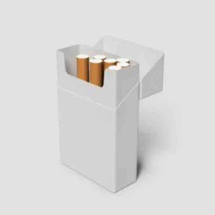 Smk Original Brown Paper with Roach 33 Sheets