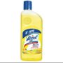 Lizol All IN 1 Disinfectant Surface Cleaner Citrus (500ML)