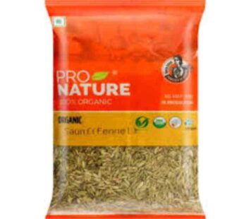 Pro Nature Saunf Fennel 100 Gms