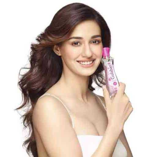 Dabur Gulabari Premium Rose Water