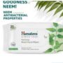 Himalaya purifying neem facial wipes 25w