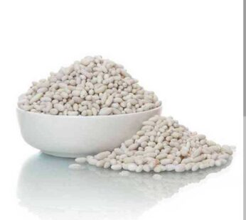 faamle sweet saunf 100g