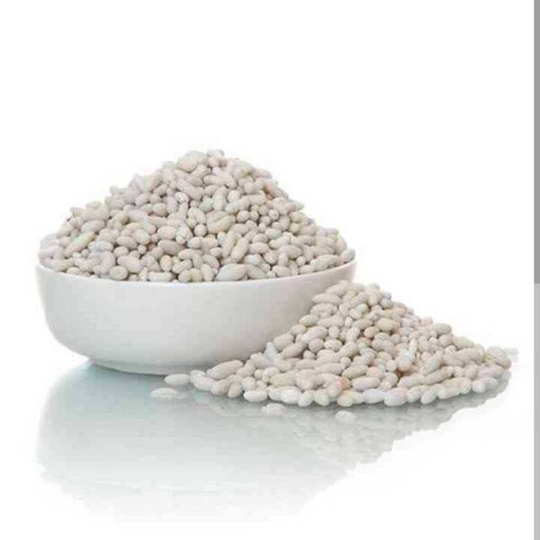 faamle sweet saunf 100g
