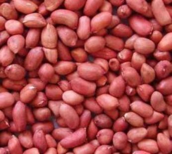 Raw Ground Nut peanuts 500g
