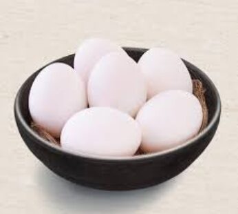 Nutritious Egg 6N