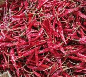 HomeFills Dry Red Chilli Teja 100g
