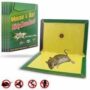 Mouse And Rat Glue Pad 1N