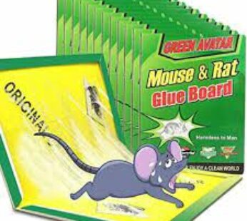 Mouse And Rat Glue Pad Big Size 1N