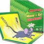 Mouse And Rat Glue Pad Big Size 1N