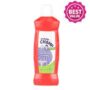 Clean Champ Bathroom Cleaner 500ml