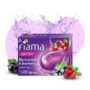 Fiama Gel Bar Blackcurrant and Bearberry 125g