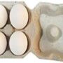 Nutritious Eggs Pack of 6