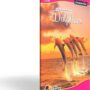 Classmate Unruled Long Note Book 160 pages