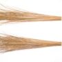 Coconut Broom 1 Pcs